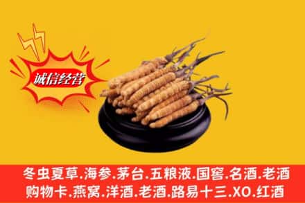 运城新绛县求购回收虫草多少钱每克